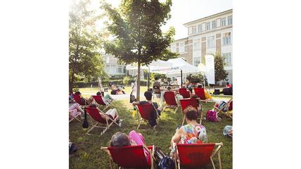 Personen von hinten auf Liegestühlen in einer Wiese